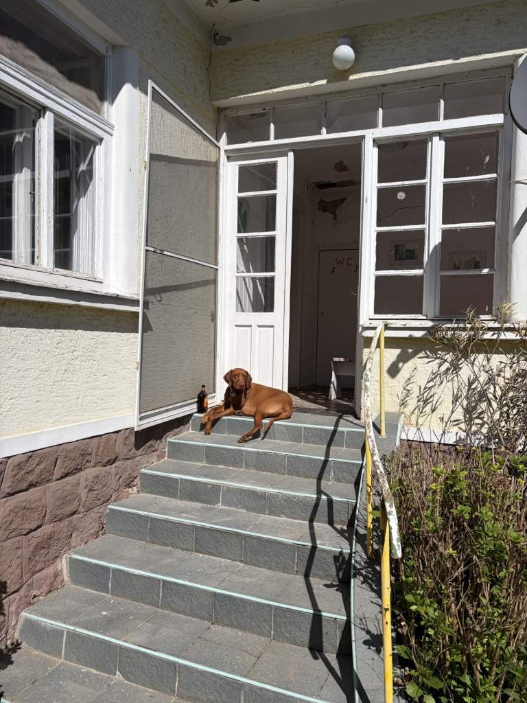 vstup na verandu